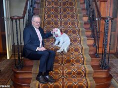 Por dentro da noite infernal de Anthony Albanese em ‘The Lodge’, quando ele é evacuado após um susto de bomba