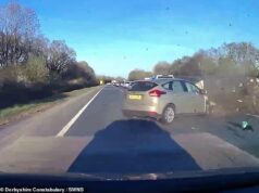 Momento em que o oficial da prisão joga uma mulher grávida e uma jovem família no carro a 71 mph enquanto jogava em seu telefone