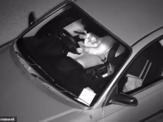 Por que os motoristas em um estado australiano têm maior probabilidade de serem multados após uma grande mudança nas câmeras dos telefones celulares