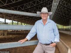 Nomeação real na Austrália forçada a pedir desculpas por postagens agora excluídas sobre Welcome to Country e Anthony Albanese