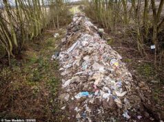 Os basculantes profissionais despejaram 30 metros de lixo no rio perto da movimentada via de mão dupla – que custará £ 20.000 para limpar