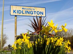 Uma das maiores aldeias do Reino Unido está prestes a se tornar uma nova cidade – mas os residentes locais não estão felizes com isso