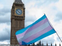 Os Verdes dizem que a proibição dos esportes trans é racista – já que pressionam por produtos menstruais gratuitos para ‘pessoas menstruadas’