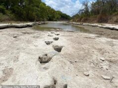 Fúria porque o parque de dinossauros de 100 milhões de anos pode ser destruído pelo novo data center de IA