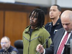 Aspirante a estrela do YouTube levou um tapa no pulso por ataque caótico de bola de neve contra policiais de Nova York