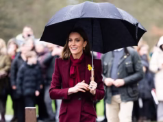 Razão surpreendente pela qual a Princesa de Gales recusou ‘educadamente’ o pedido de um fã durante uma viagem ao País de Gales – já que ela segue o rígido protocolo real