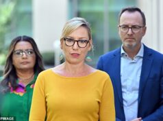 Os Verdes assumiram a posição antiocidental mais previsível desde que os EUA bombardearam o Irão… Até Albow pode ver o que eles se recusam a admitir: Peter van Onselen