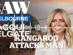 Canguru fica feroz e deixa homem ensanguentado em ataque brutal enquanto tenta resgatar cachorro