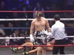 Selvagem! Boxeador acerta 40 golpes seguidos e nocauteia massivo com um soco