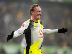 Abelha Diária: Seis pontos