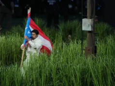 Bad Bunny ecoa mensagem do Grammy no show do intervalo do Super Bowl: ‘Together We Are America’