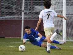 As equipes da Bay Area jogarão pelo título da seção
