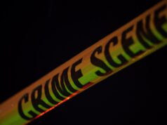 Ladrões roubam milhares de dólares em equipamentos de beisebol da liga infantil e outros itens de Hayward – The Mercury News