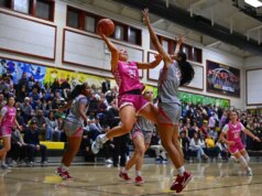 O que saber depois de semear