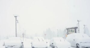 O que saber sobre avalanches, o que as causa e como se manter seguro – The Mercury News