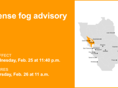 Vales do interior de North Bay sob aviso de neblina densa até o meio-dia de quinta-feira – visibilidade de quarto de milha – The Mercury News