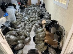 Suspeita de cultivo ilegal e operação de venda de maconha na casa de San Leandro – The Mercury News