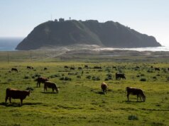 Os melhores destinos para lua de mel do mundo: Califórnia, Europa e além