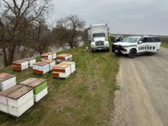 Um roubo de colmeia termina com a prisão de um homem em Sacramento