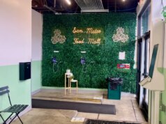 Lotus e Lime trazem sabores tailandeses e vietnamitas aos centros da Bay Area – The Mercury News