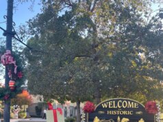 Padrões de design do Saratoga Village serão submetidos a audiência pública em 25 de fevereiro – The Mercury News