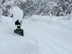 Grupo líder de empresas de guias apanhadas em avalanche mortal alerta sobre condições de neve dias antes do incidente – The Mercury News