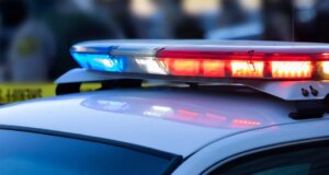 Dois carrinhos cheios de mantimentos roubados do Los Gatos Safeway – The Mercury News