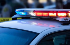 Dois carrinhos cheios de mantimentos roubados do Los Gatos Safeway – The Mercury News