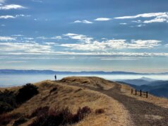 Midpen Sierra Azul realiza queimadas de pilhas para melhorar a resiliência ao fogo – The Mercury News