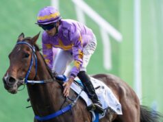 O caminho para o Kentucky Derby retorna à casa de Arkansas, Flórida, Nova York