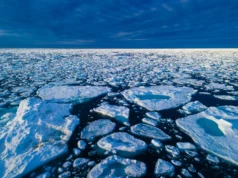 Nova previsão fornece alerta antecipado sobre o declínio do gelo marinho do Ártico