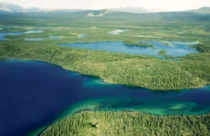 Uma simples mudança de água poderia transformar as terras agrícolas do Ártico num sumidouro de carbono