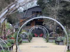 A longa batalha legal da vinícola com o condado de Napa encontra um novo aliado com histórico de vitórias – The Mercury News