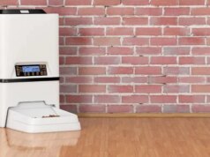 Melhores alternativas de comedouro automático para cães para pais de animais de estimação ocupados – The Mercury News