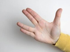 Faça isso com essas incríveis ideias de presentes de ‘Star Trek’ – The Mercury News