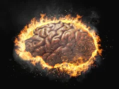 A inflamação cerebral pode levar a comportamentos compulsivos