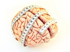 Cientistas encontraram uma pista para a evolução do cérebro humano no comprimento de um dedo