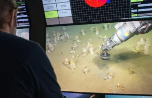 Os cientistas descobriram o ancestral amante do oxigênio de toda a vida complexa