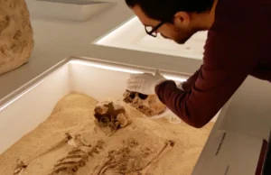 DNA antigo resolve mistério de 12.000 anos de raro distúrbio de crescimento genético