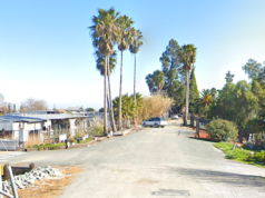 Suspeito de homicídio na estrada lenta na Holanda é libertado sem acusação