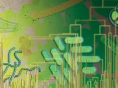 Micróbios antigos usaram oxigênio 500 milhões de anos antes de preencher a atmosfera da Terra