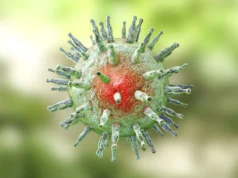 Os cientistas descobriram um elo perdido entre o vírus Epstein-Barr e a esclerose múltipla