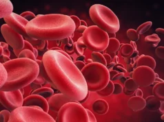 Ultramaratonas podem danificar os glóbulos vermelhos e acelerar o envelhecimento