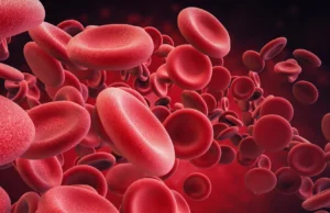 Ultramaratonas podem danificar os glóbulos vermelhos e acelerar o envelhecimento