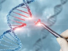 O sistema CRISPR inovador pode combater a crise de resistência aos antibióticos