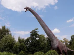 Os cientistas compararam dinossauros a mamíferos durante décadas, mas perderam esta diferença fundamental