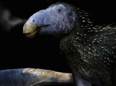 Dinossauro nunca antes visto de 125 milhões de anos é descoberto na China