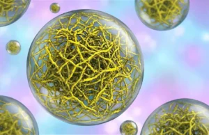 Arquitetura oculta dentro de gotículas celulares abre novos alvos para câncer e ELA