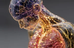 Como o corpo realmente envelhece: 7 milhões de células mapeadas em 21 órgãos