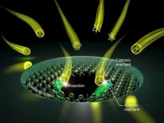 Portas de tamanho atômico poderiam transformar o sequenciamento de DNA e a computação neuromórfica